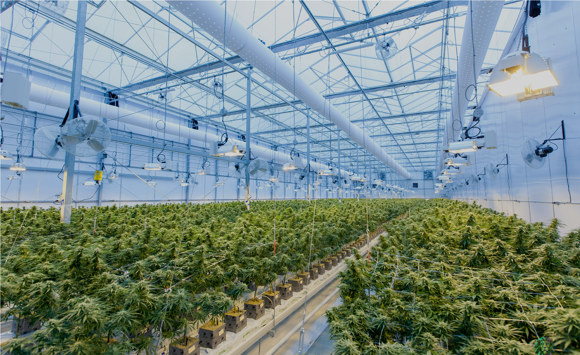 Greenhouse